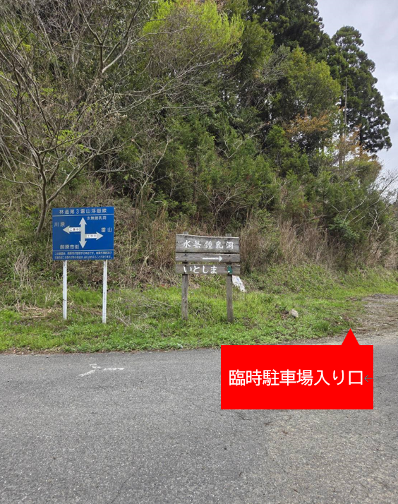 分岐