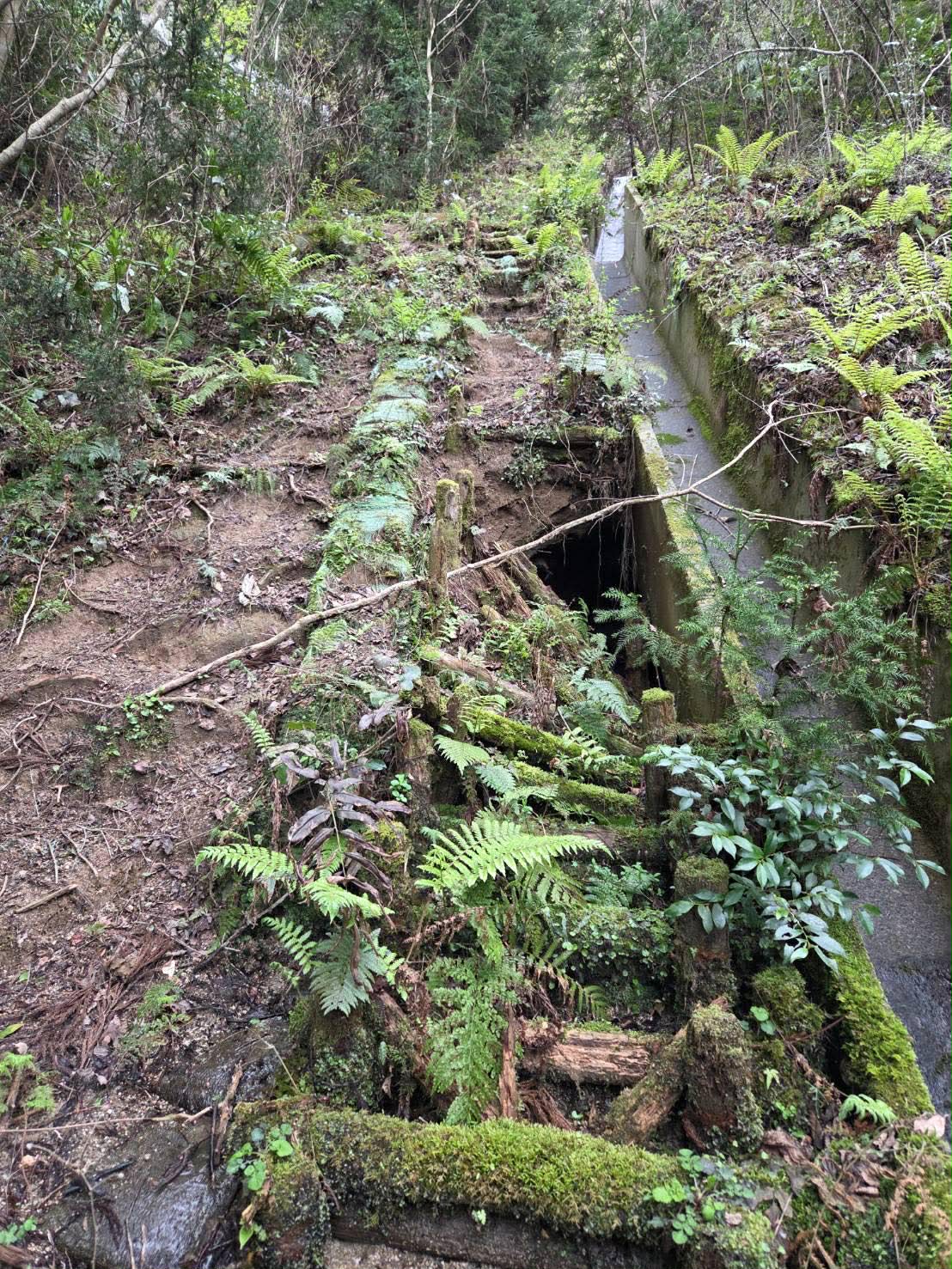 井原山・雷山中腹自然歩道崩落現場写真①