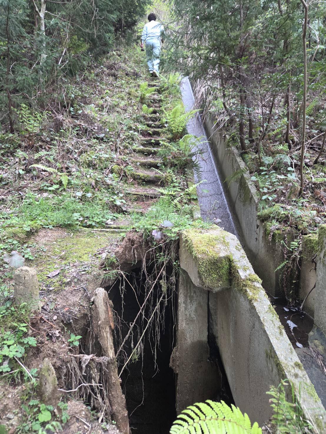 井原山・雷山中腹自然歩道崩落現場写真②