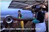糸島市PR動画　玄界灘に生きる海の人々の動画