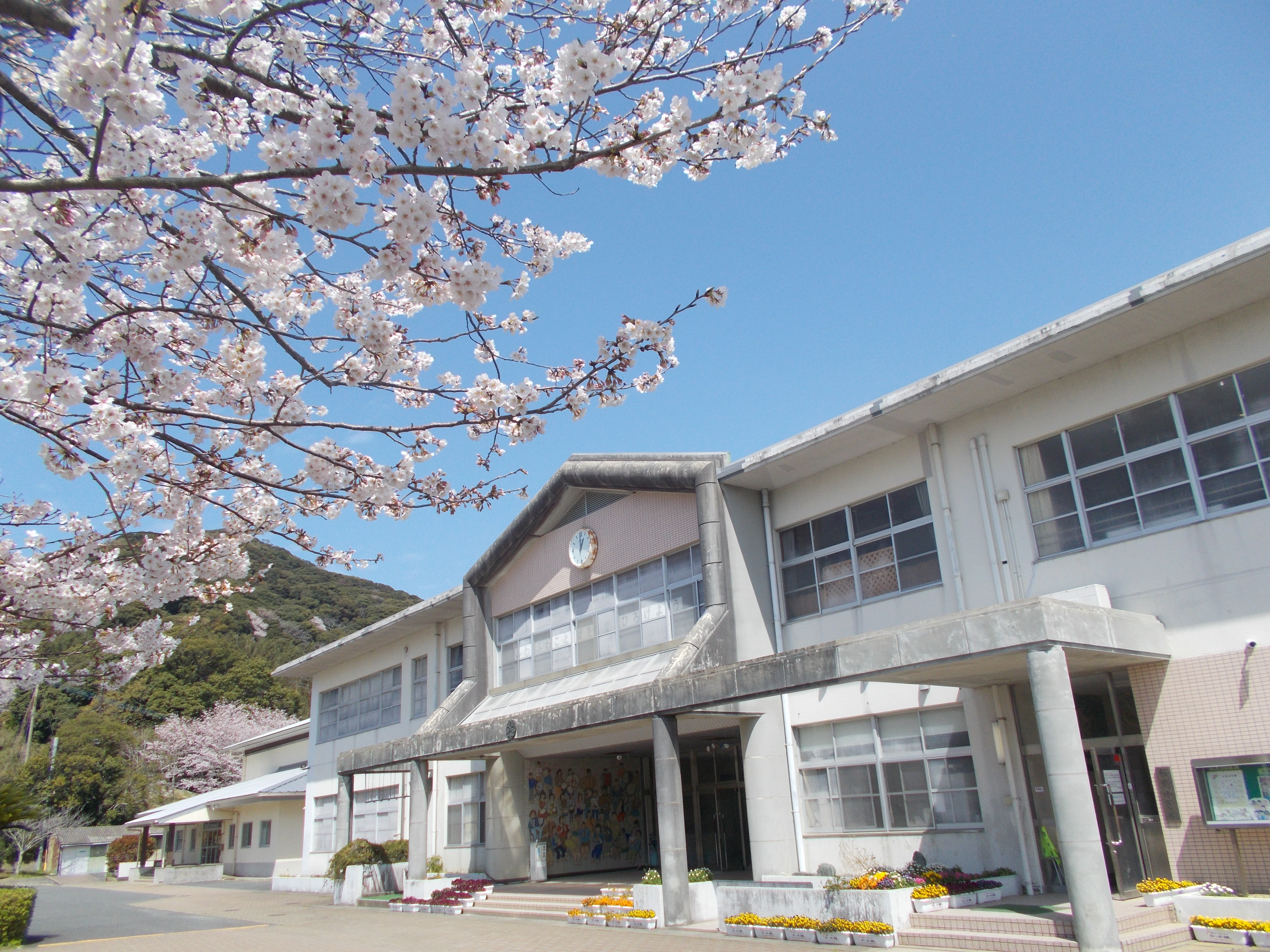 桜野小校舎