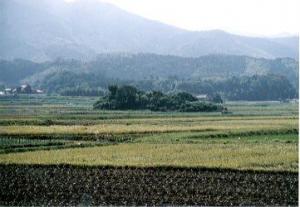 井原1号墳の遠景