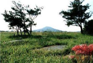志登支石墓群から可也山を望むの画像