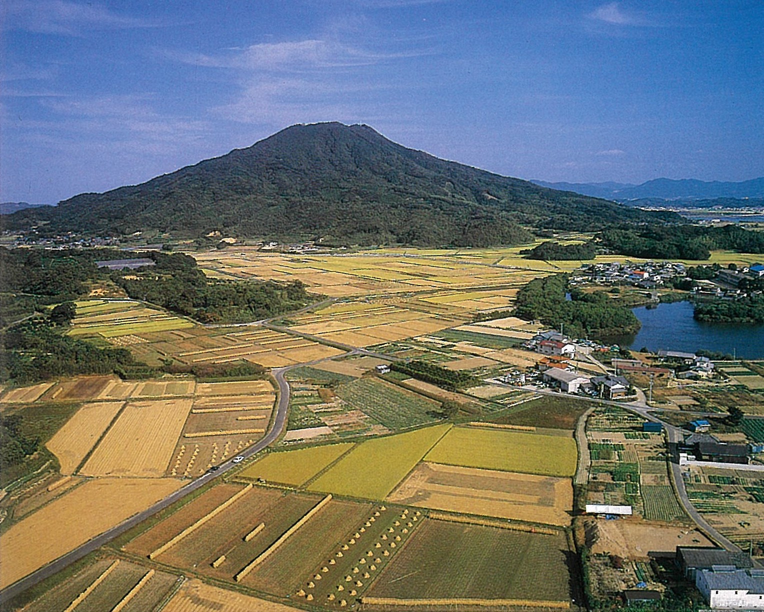 の画像