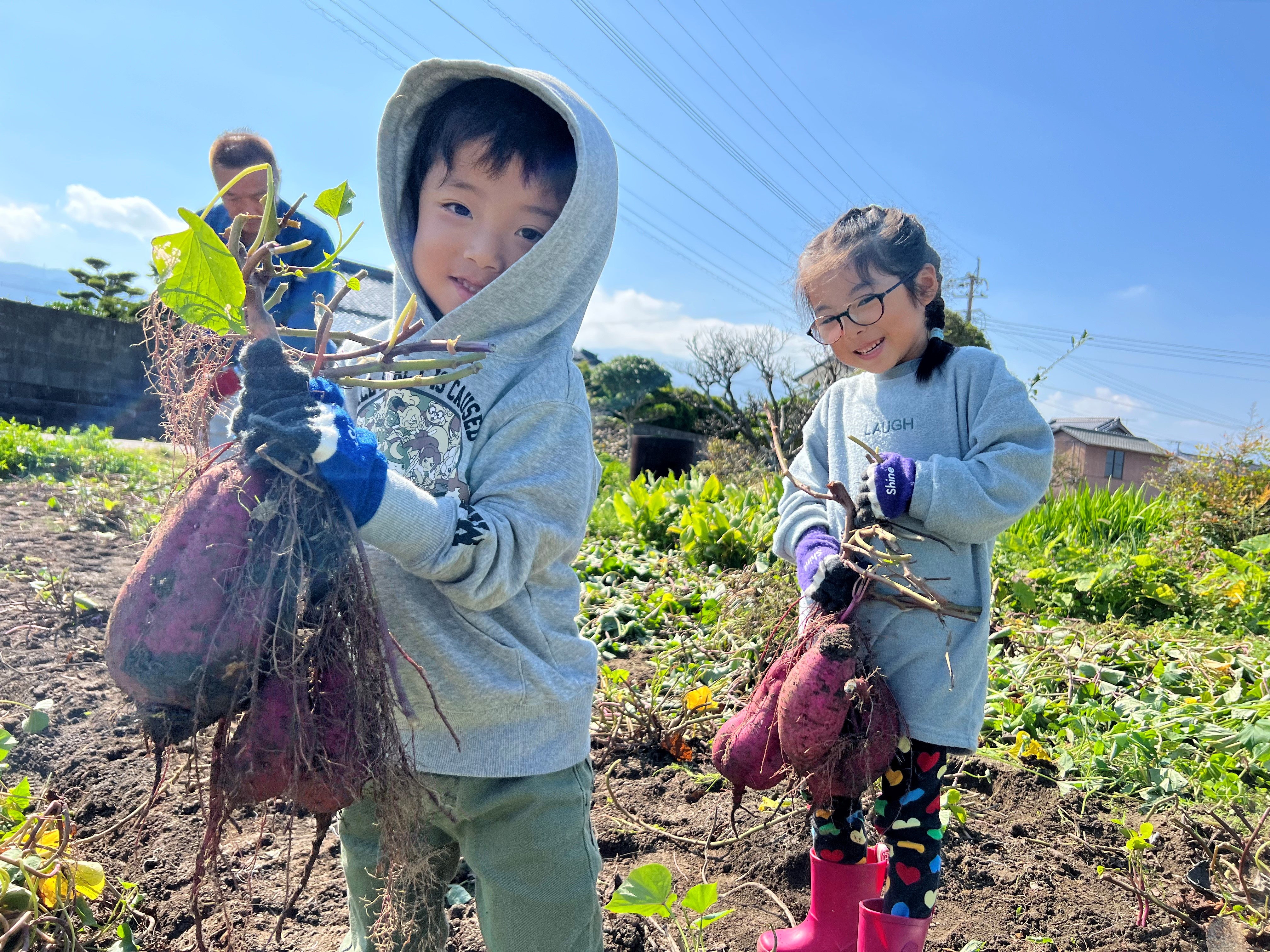 いまの糸島部門「農業」の画像