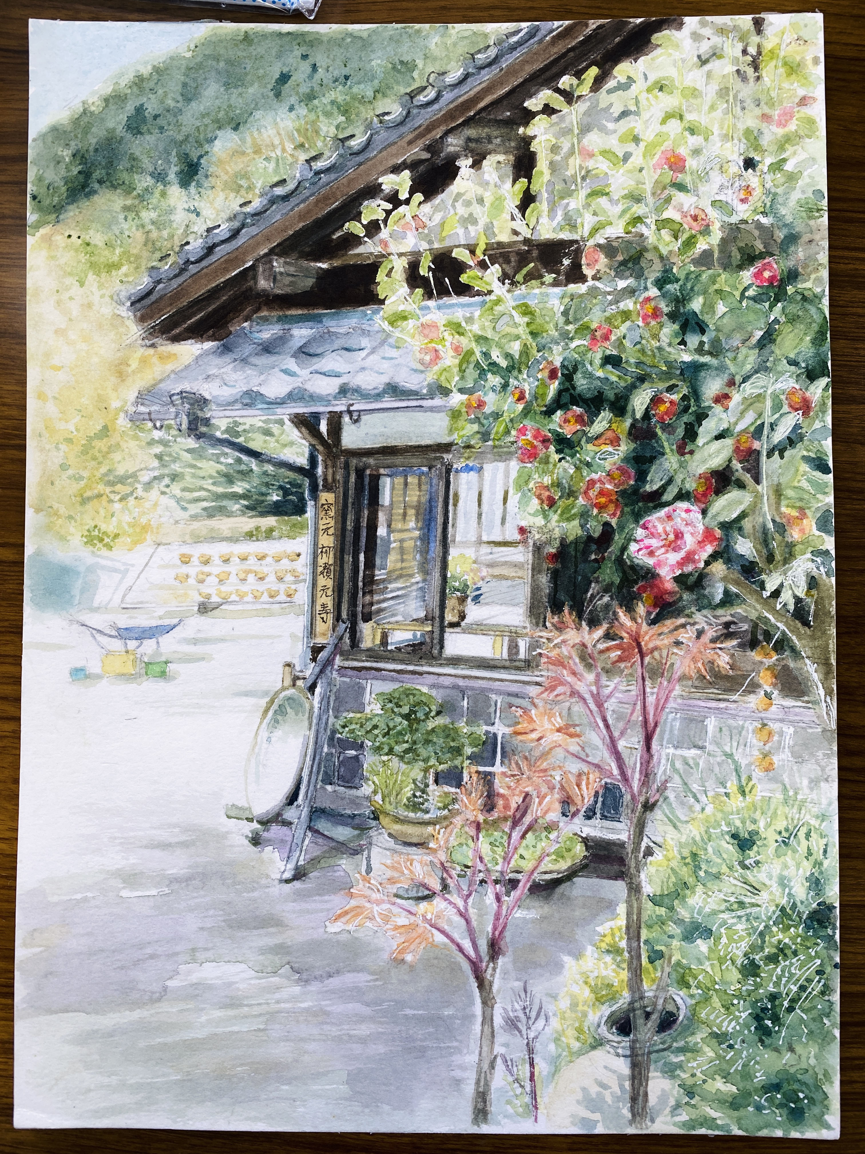 水彩画サークル彩和会作品展」ー美術館展示のご紹介ー - 糸島市
