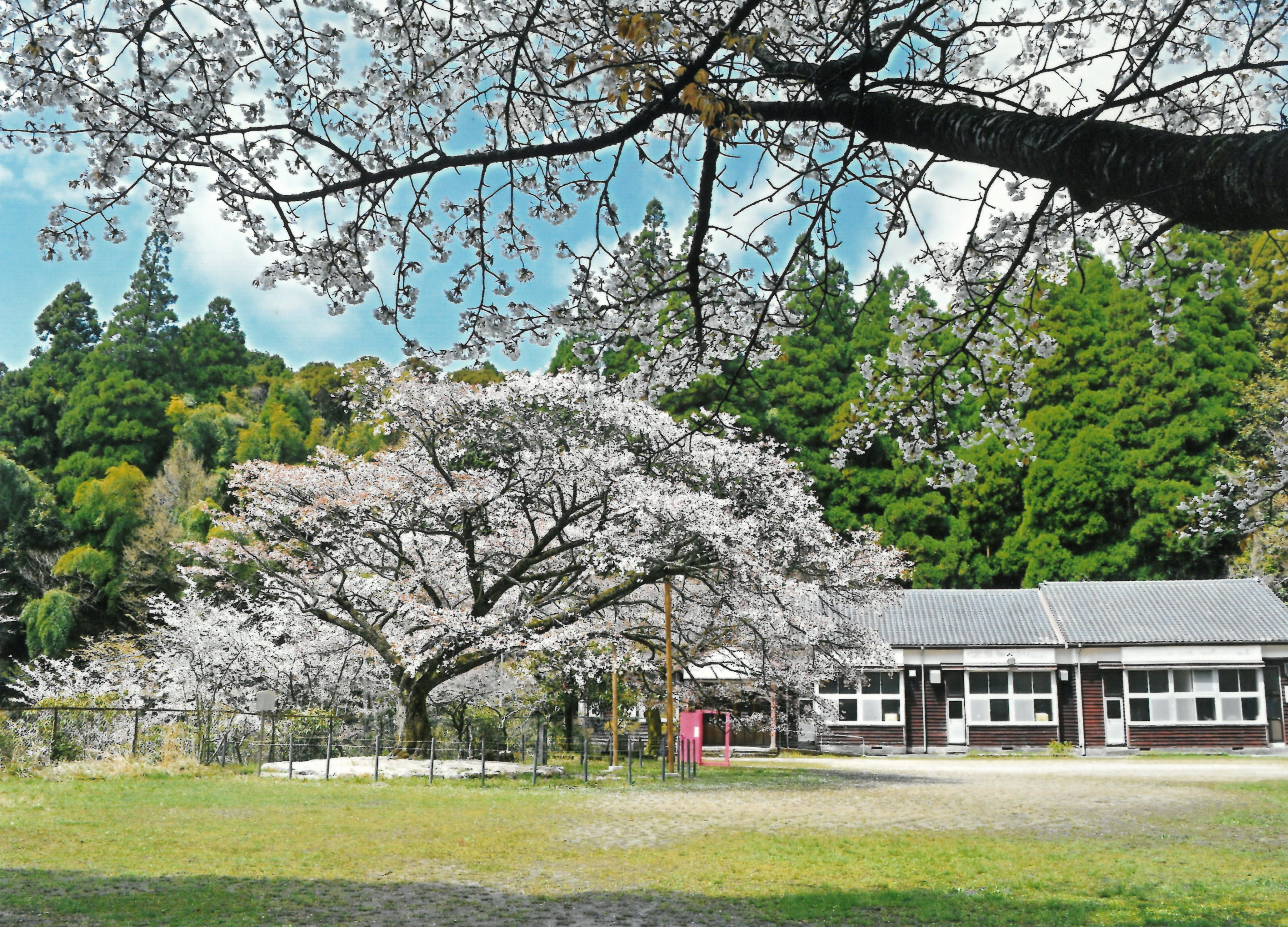 想い出の写真展作品例１