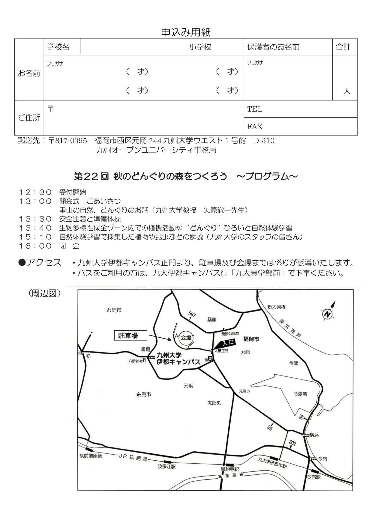 どんぐりの森２