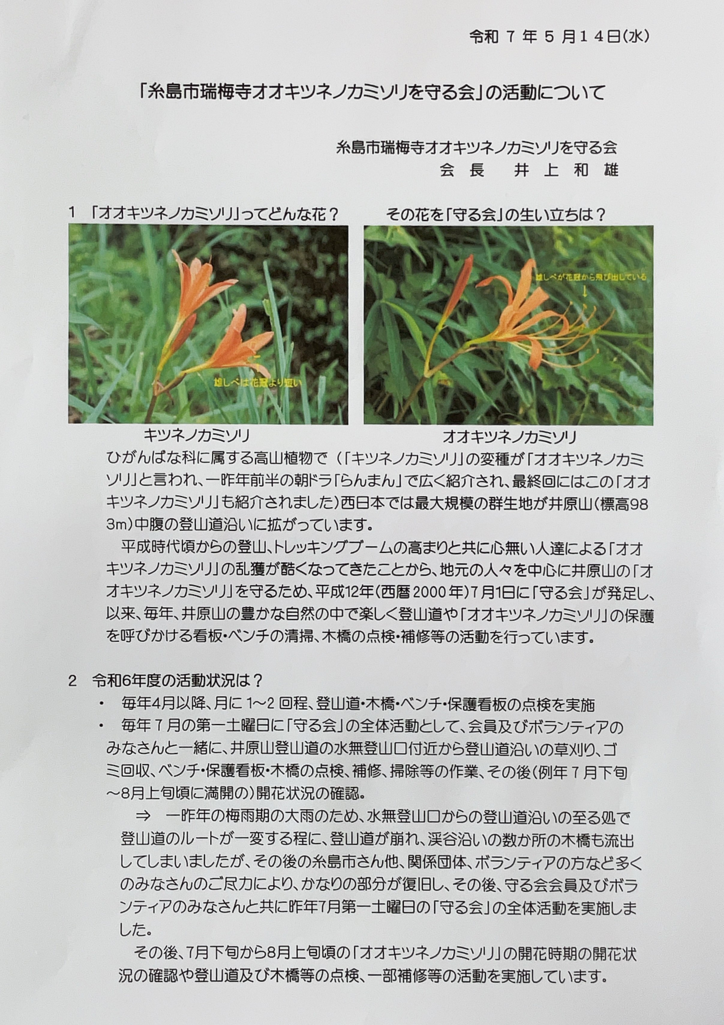 オオキツネノカミソリを守る会①再
