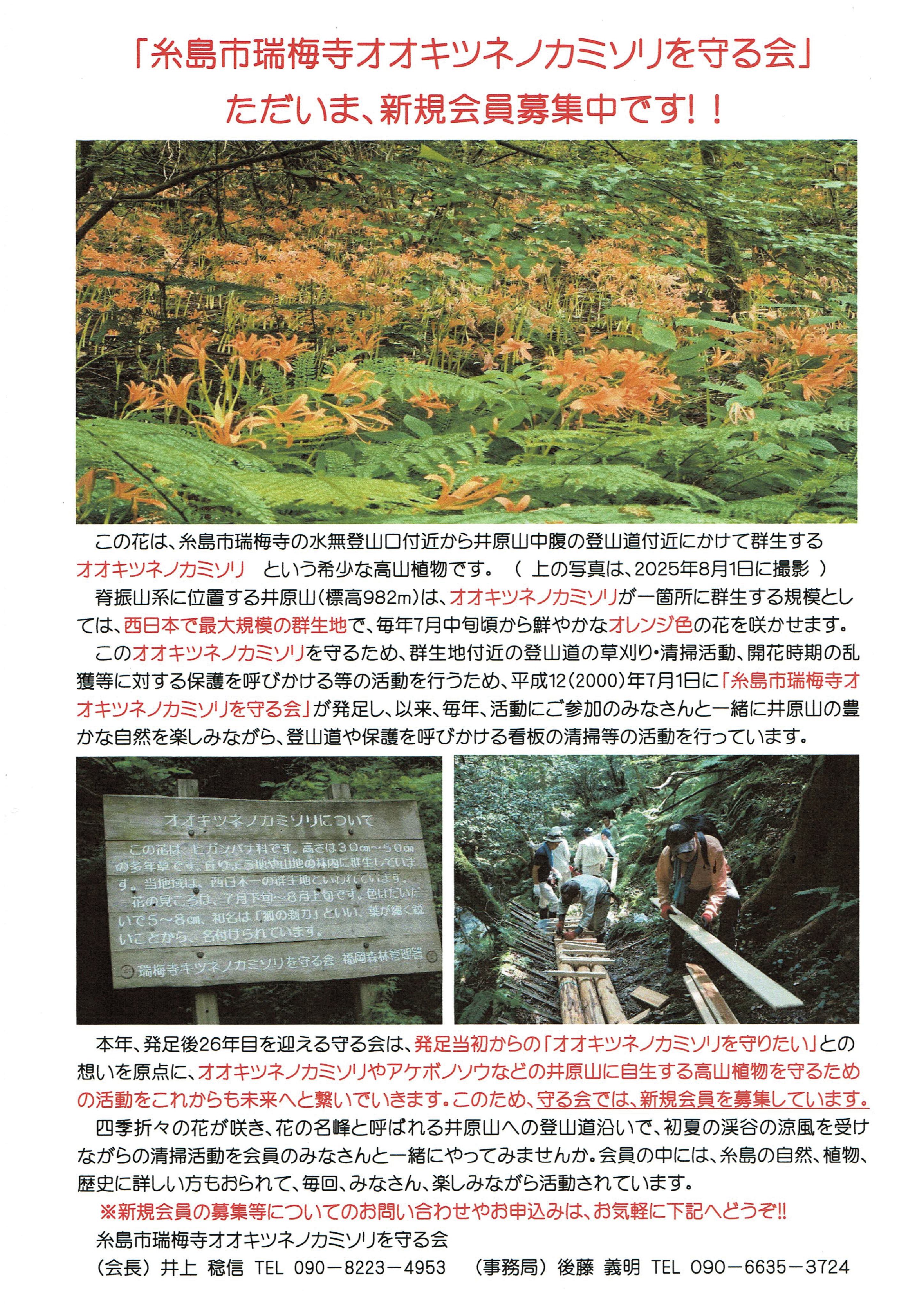 「糸島市瑞梅寺オオキツネノカミソリを守る会」①