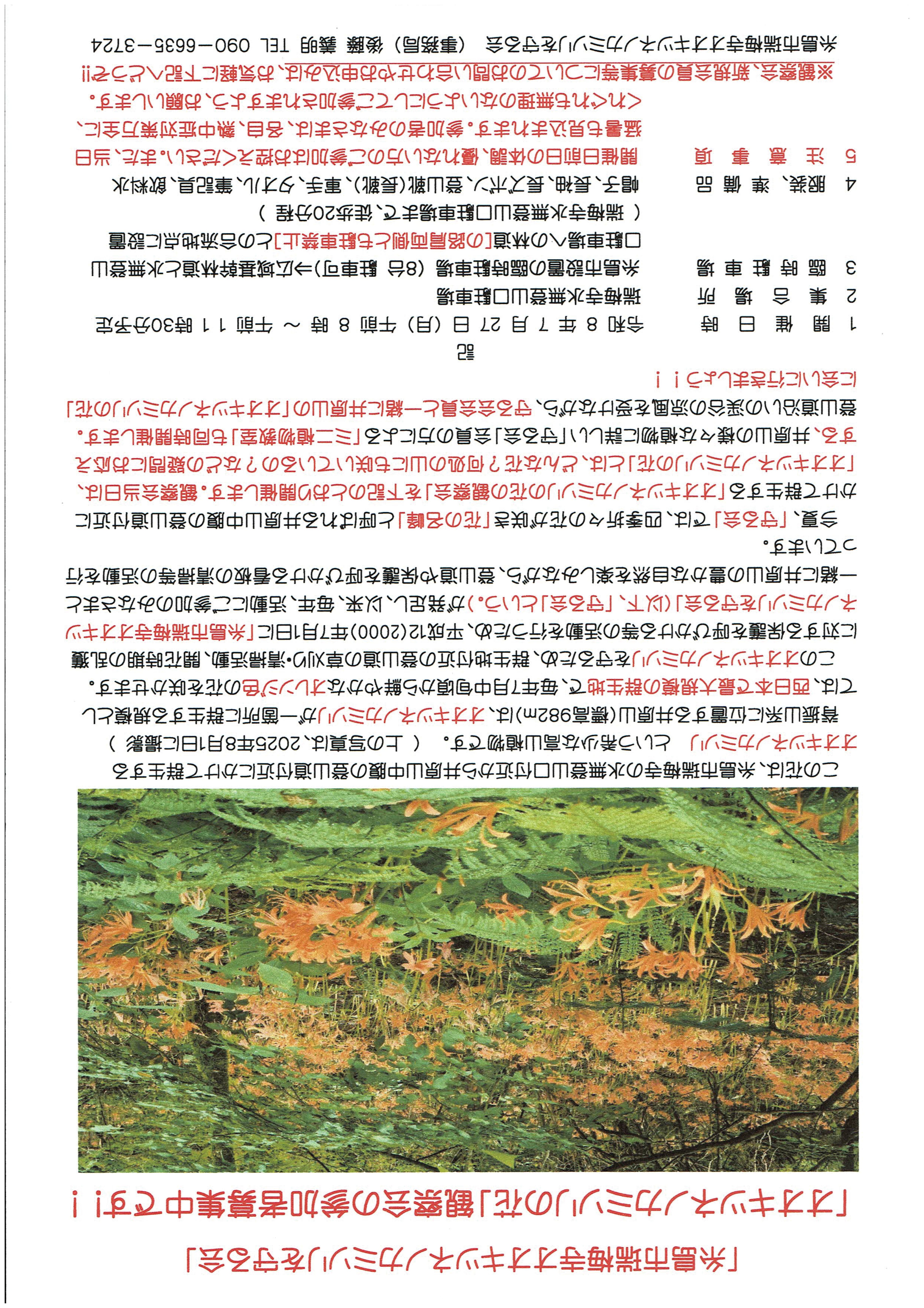 糸島市瑞梅寺オオキツネノカミソリを守る会 観察会①