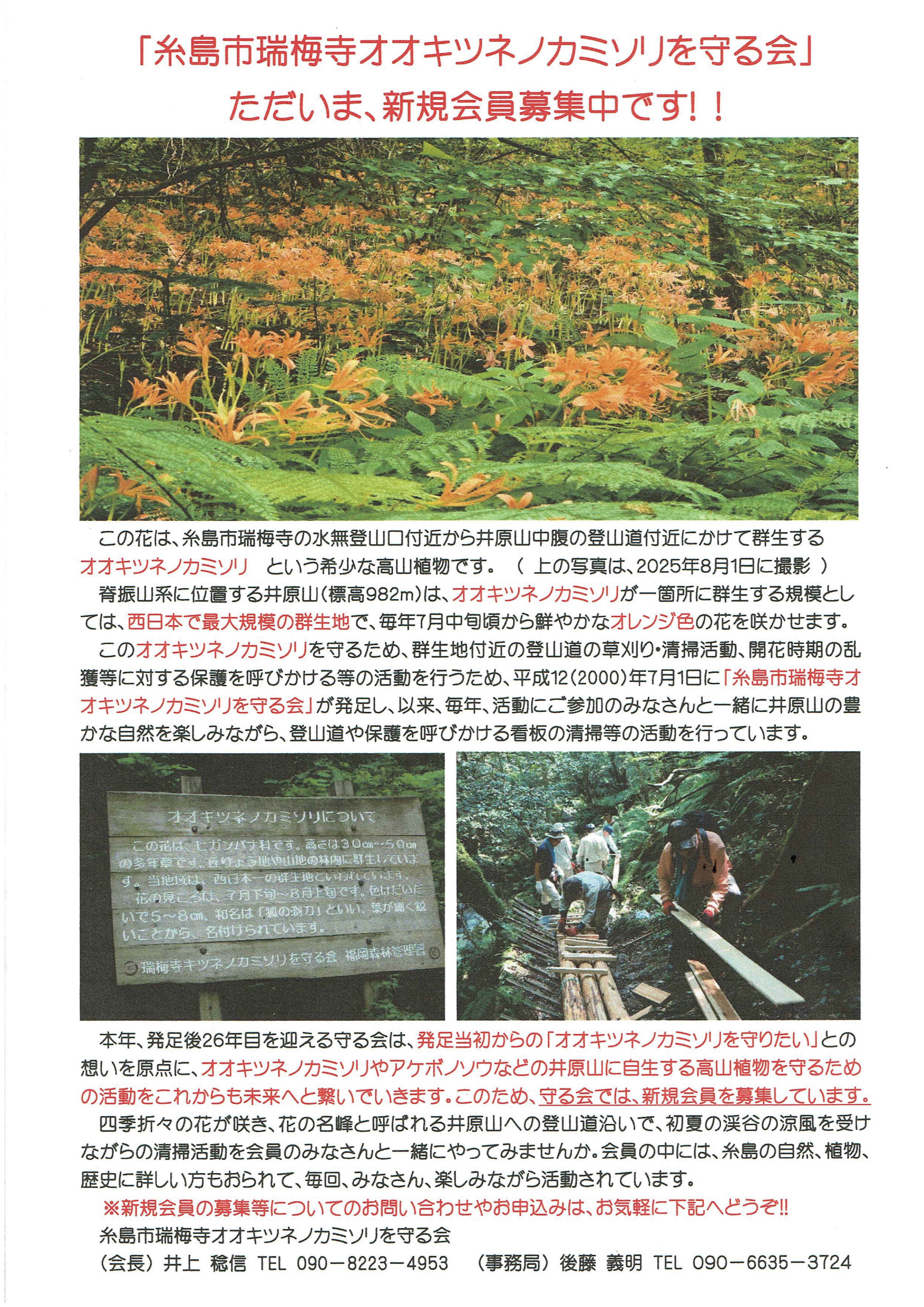 オオキツネノカミソリを守る会会員募集.jpg