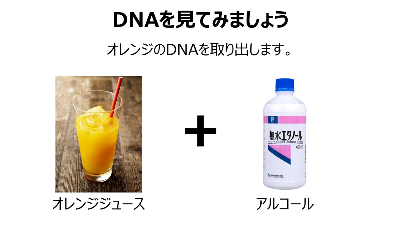 金津さんスライド２