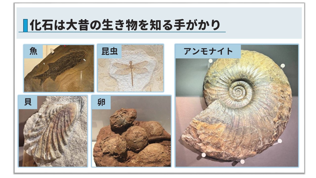 出張九大寺子屋　桃崎さんスライド１
