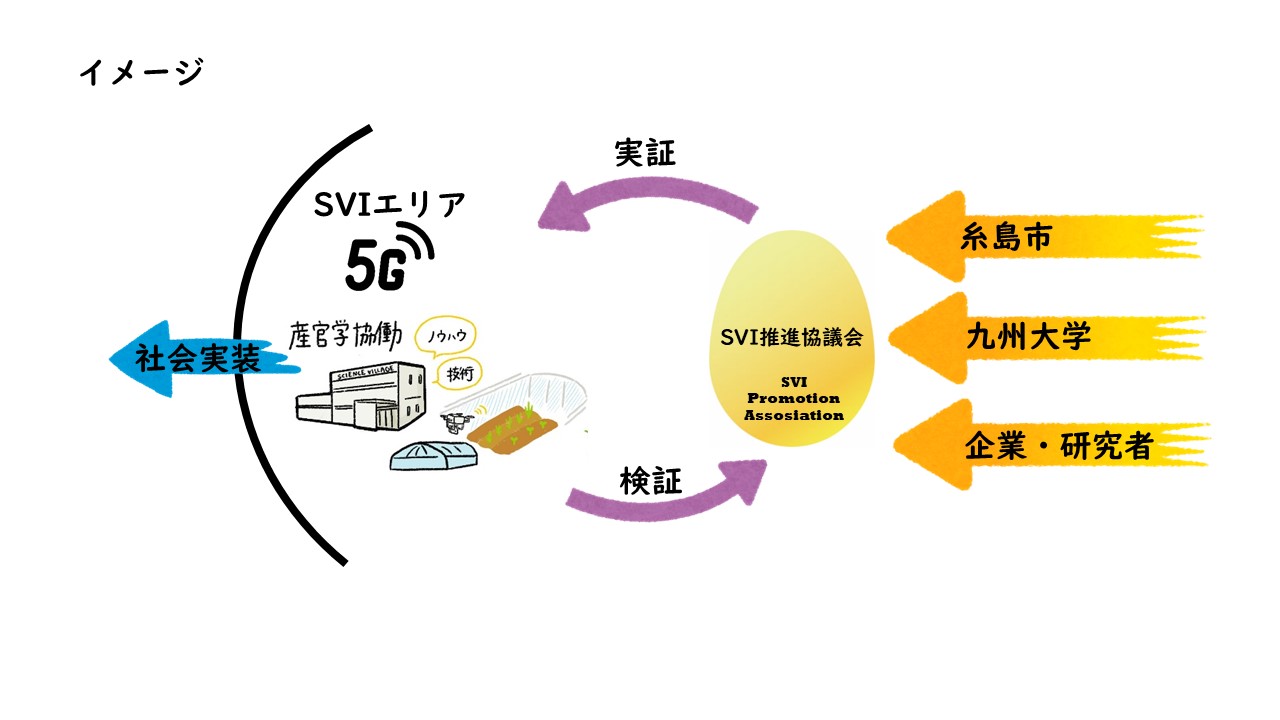 実証イメージ