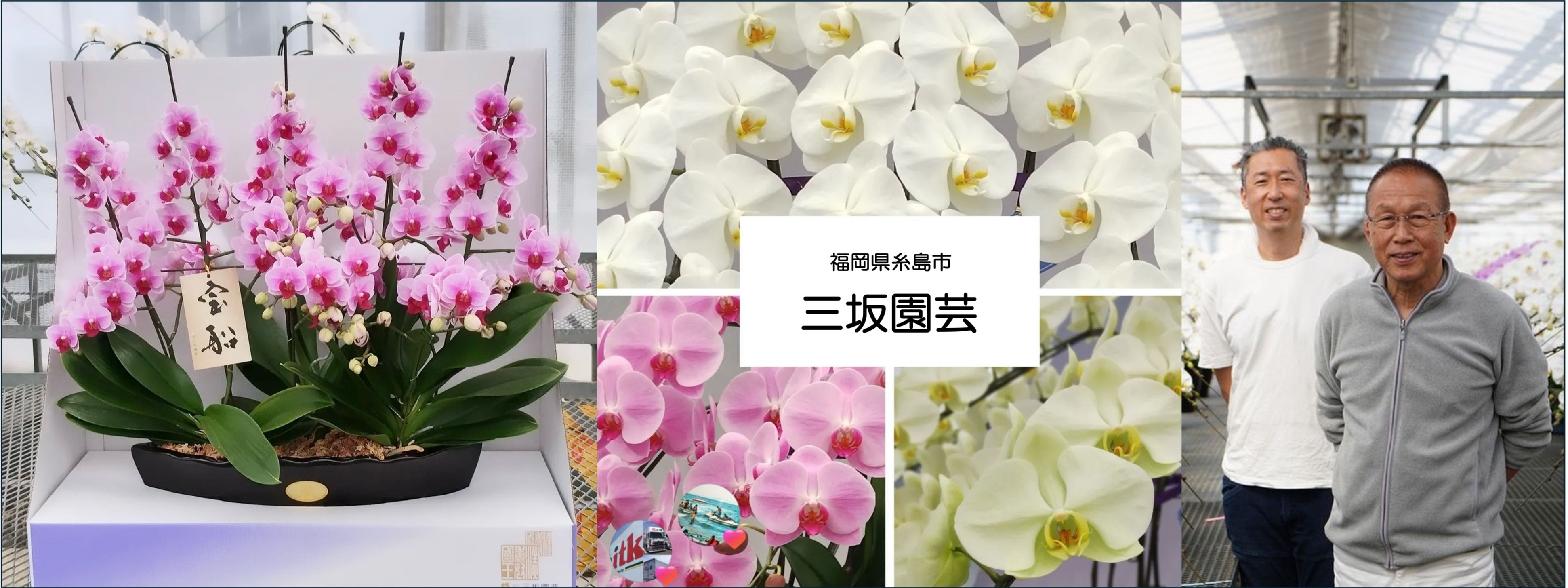 三坂園芸