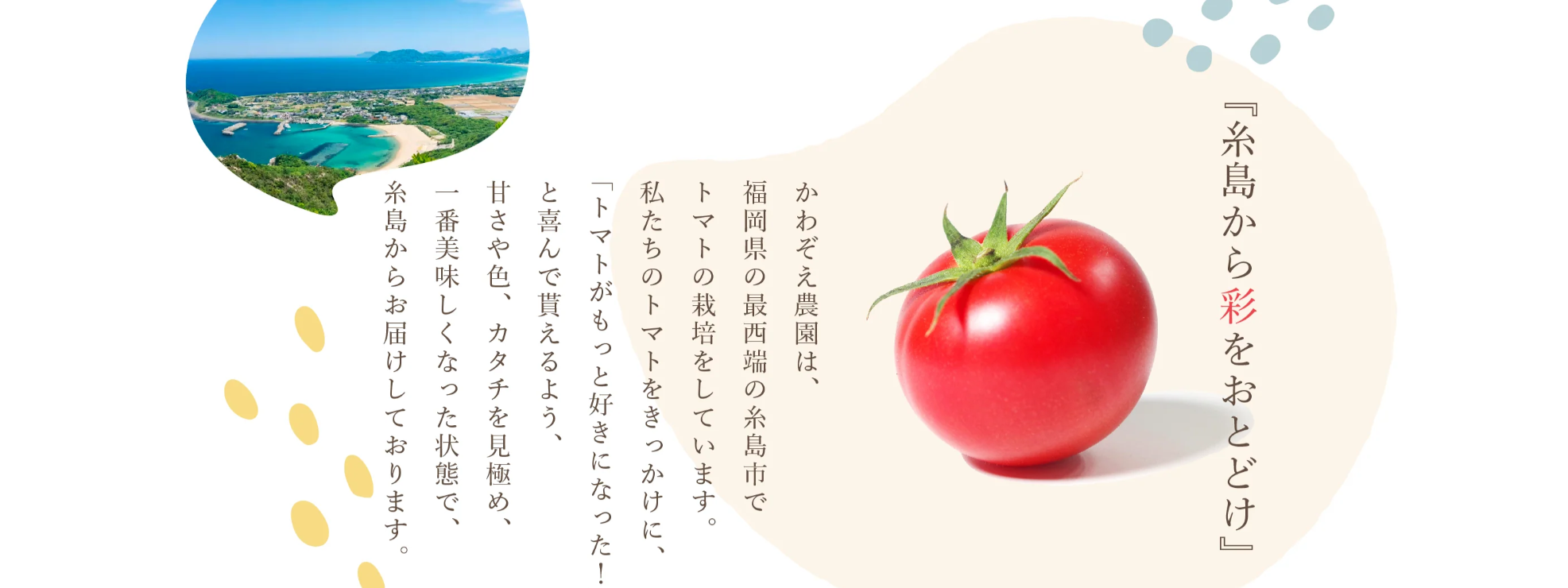 kawazoe.png