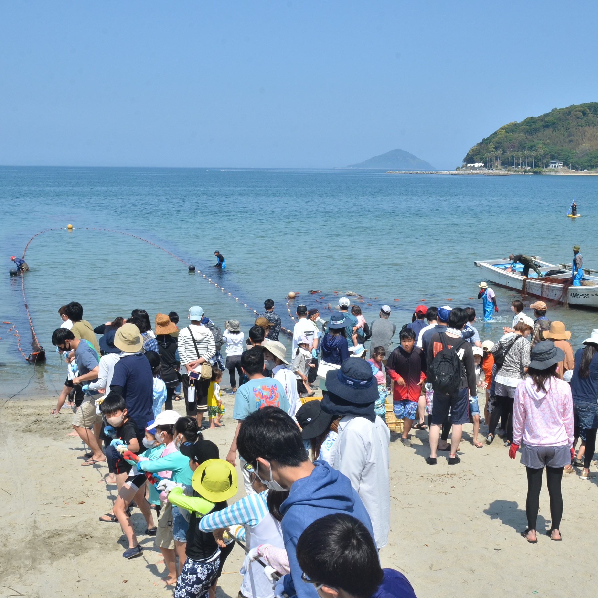 の画像